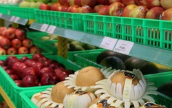 Bán hàng ngàn tấn trái cây nhờ những điểm 'không giống ai' của Bách hóa Xanh