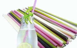 Chị em hào hứng với các sản phẩm xanh thay thế ống hút nhựa
