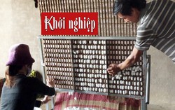 Thu nhập 70 triệu đồng/tháng từ trồng dâu nuôi tằm