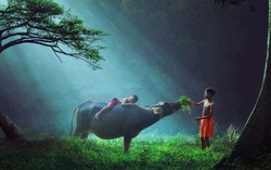 Hình ảnh tuyệt đẹp của trẻ em các nước