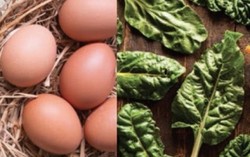 Chọn đúng thực phẩm dinh dưỡng cho bé