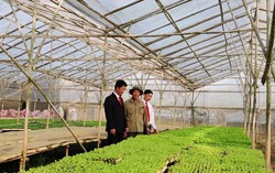 Agribank – Vì tương lai xanh