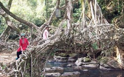 Nữ quốc trong rừng thẳm