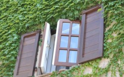 Bên ngoài bức tường xám ngoét
