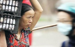 Lao động nữ chưa qua đào tạo chịu nhiều rủi ro trong kỷ nguyên số