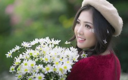 Đẹp nao lòng những khoảnh khắc bên cúc họa mi