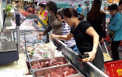 Giá lợn hơi có thể tăng lên 60.000 đồng/kg do nguồn cung giảm mạnh