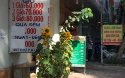 Khách sạn, nhà nghỉ Vũng Tàu, Đà Lạt, Nha Trang tăng giá từng giờ