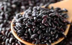 Gạo nếp cẩm có lợi cho sức khỏe, chống lại nhiều bệnh nguy hiểm