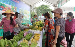 Hội chợ thực phẩm sạch thu hút người nội trợ Thủ đô