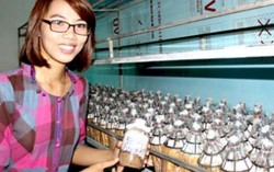 Cô sinh viên mang tiền mua xe máy lấy vốn trồng nấm khởi nghiệp