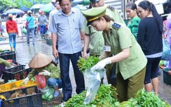 Rau, củ nhiễm hóa chất, măng khô 'ngậm' lưu huỳnh vượt ngưỡng 50 lần