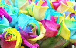 Hoa lạ triệu đồng vẫn cháy hàng