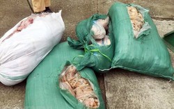 Thanh Hóa: Bắt giữ xe ôtô chở 260kg thịt lợn, da lợn ôi thiu