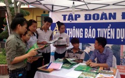 Nữ thất nghiệp ít hơn nam