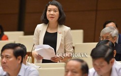 Chính phủ điện tử có giảm bớt phiền hà cho dân?