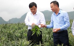 Bộ trưởng Nguyễn Xuân Cường: Người dân sẽ được trải nghiệm thực phẩm nông sản sạch từ EVFTA