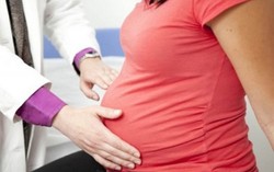 TP.HCM đã có 12 thai phụ nhiễm Zika 