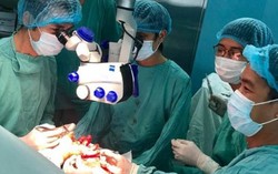 Giành giật sự sống cho người phụ nữ bị rắn hổ mang cắn