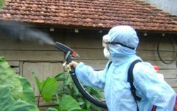 Nguy cơ zika 'chồng' sốt xuất huyết ở Hà Nội