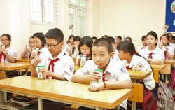 Vì sao 3 năm vẫn không ban hành được tiêu chuẩn sữa học đường?