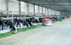 Thương hiệu nào có giá trị cao nhất Việt Nam năm 2019?
