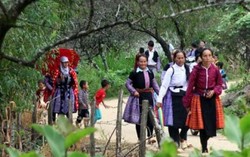 Hai miền cổ tích 
