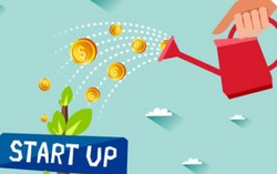 Hỗ trợ các 'Start up' giải quyết nhanh thủ tục thành lập doanh nghiệp