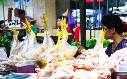 Chợ thực phẩm Hà Nội ngán ngẩm vì ế hàng
