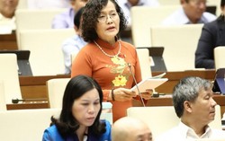 Đại biểu Quốc hội bức xúc trước tình trạng xâm hại tình dục trẻ em gia tăng