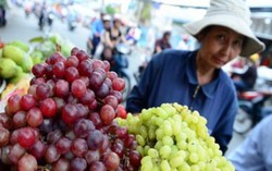 Vạch mặt nho Trung Quốc 'núp bóng' nho Mỹ, nho Ninh Thuận