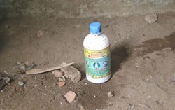 Nhân viên nhà nghỉ tá hỏa thấy 2 mẹ con tử vong nồng nặc thuốc diệt cỏ