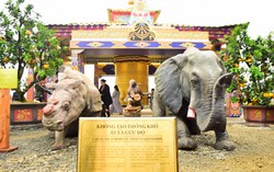 Thông điệp về bảo vệ môi trường tại Pháp hội đại bi Quan Âm 2019