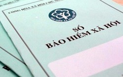 Xét xử doanh nghiệp nợ BHXH vẫn 'giậm chân tại chỗ'