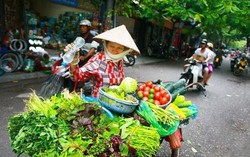 Con đường khởi nghiệp nào cho lao động nữ di cư?