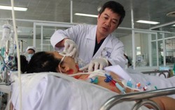 Cô giáo bị ong đốt gần 70 nốt trên đường tới trường