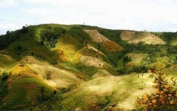 Đến Lào để bồng bềnh trên những đám mây dã quỳ