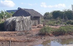 Giám định tâm thần người chồng giết vợ trẻ vì ghen tuông