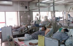 Số ca phản ứng thuốc quý I bằng cả năm 2015