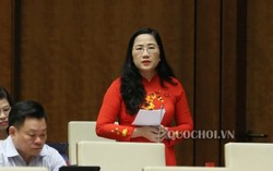 Số vụ giết người tàn bạo vì lý do nhỏ nhặt, bộc phát chiếm tới 40%