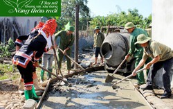 Cựu chiến binh Việt Nam tích cực xây dựng nông thôn mới