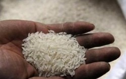 Cách chọn gạo ngon, nhận biết gạo giả