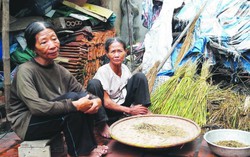 2 chị em nghèo nương tựa vào nhau làm lẽ sống
