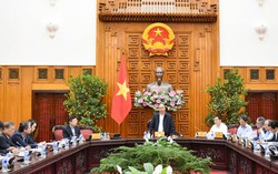Thủ tướng làm việc về tình hình giá gạo giảm