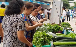Người Hà Nội 'chen chân' mua rau thịt trứng an toàn