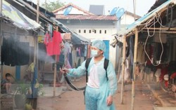 "Cuộc chiến giữa người và muỗi đang rất căng thẳng"