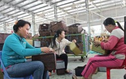 HTX tận dụng lợi thế địa phương