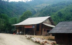 Buồn chuyện gia đình, người vợ trẻ dùng lá ngón quyên sinh