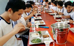 Quận 3, TPHCM: Đảm bảo an toàn thực phẩm cho 100 trường trên địa bàn