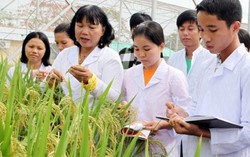 1 công trình của nhà khoa học nữ được trao Giải thưởng Trần Đại Nghĩa 2019